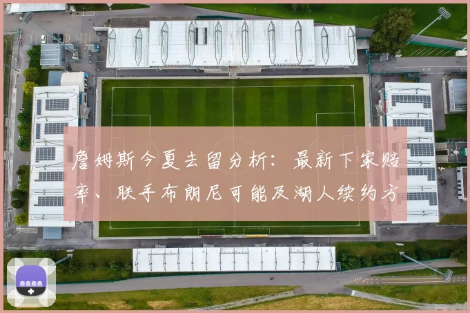 詹姆斯今夏去留分析：最新下家赔率、联手布朗尼可能及湖人续约方案全解读